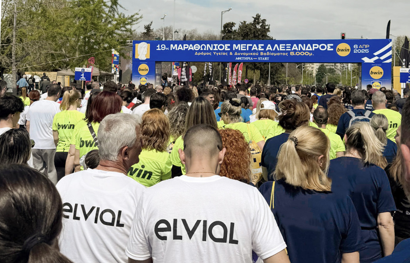 Η ομάδα ELVIAL RUNNERS στον 19ο Διεθνή Μαραθώνιο "Μέγας Αλέξανδρος"