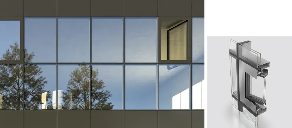 WINDOWS